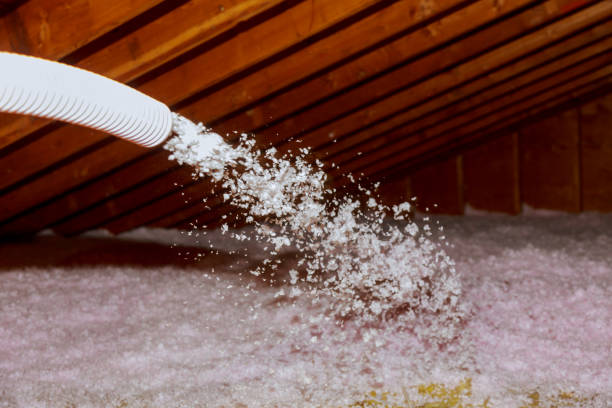 Best Commercial Insulation in Dry Run, OH