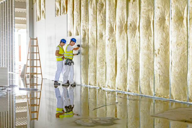 Best Cellulose Insulation in Dry Run, OH